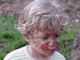 איפור פנים של בעלי חיים