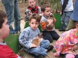 מלטפים ארנבונים ושרקנים