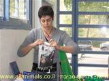 תיק מעיתונים